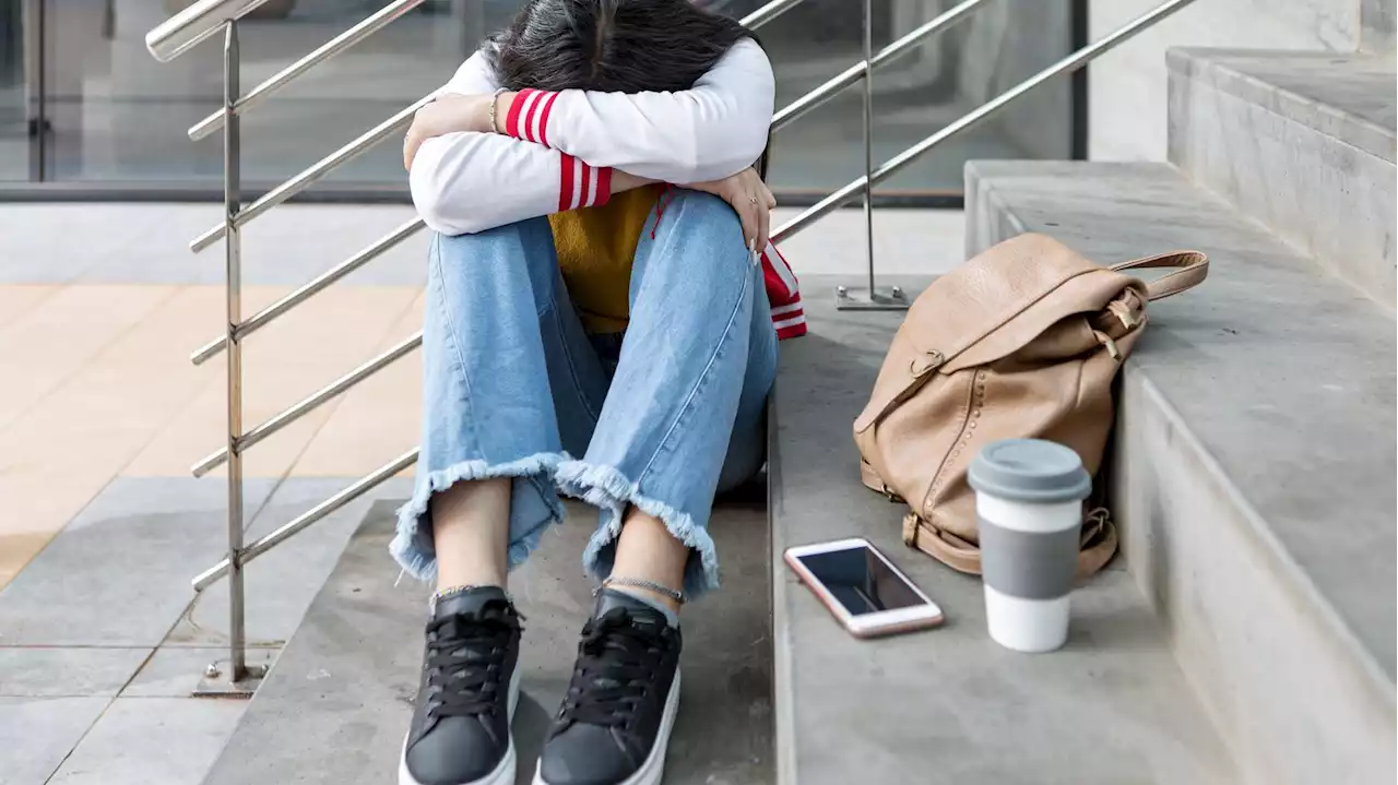 Le Vrai du Faux Junior répond aux questions sur le harcèlement scolaire