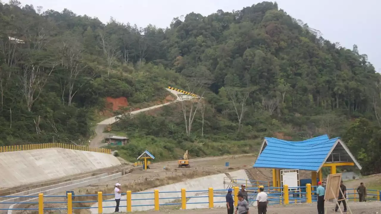 Tanggulangi Banjir, Lahan Kritis di Sumsel Akan Diidentifikasi