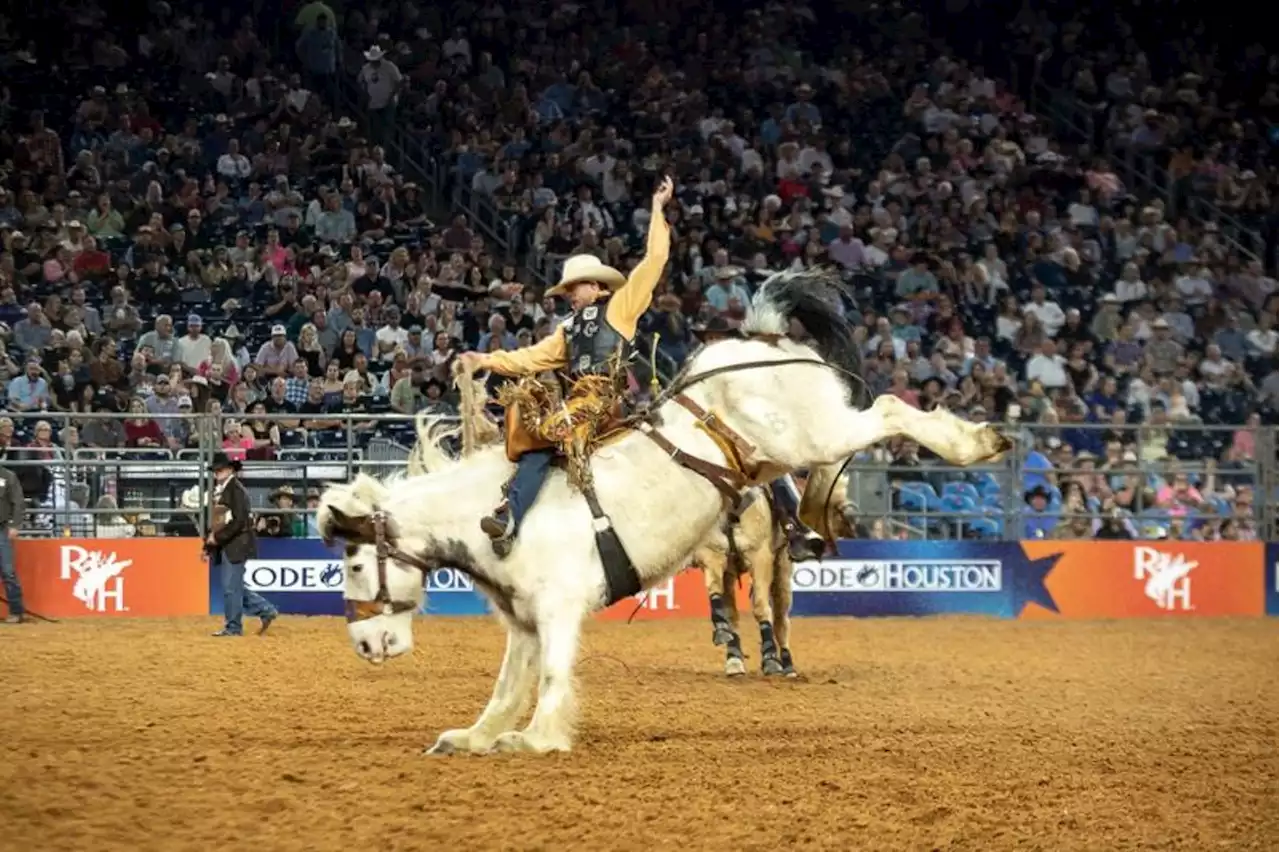 Highlights From 2023 RodeoHouston