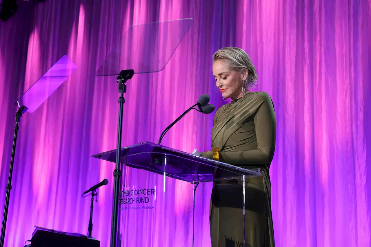 Sharon Stone Tearfully Says She Lost A Fortune 'To This Banking Thing'