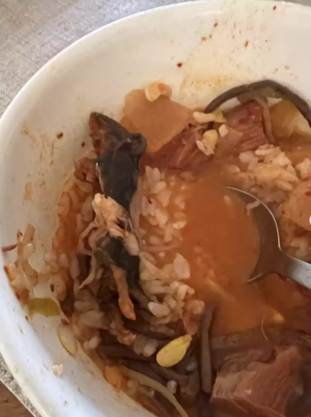 Fil-Am woman in NYC sues Manhattan restaurant for alleged rat in soup