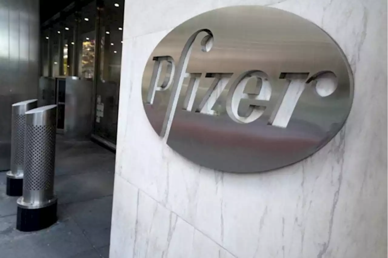 US FDA advisers back Pfizer COVID treatment for full approval