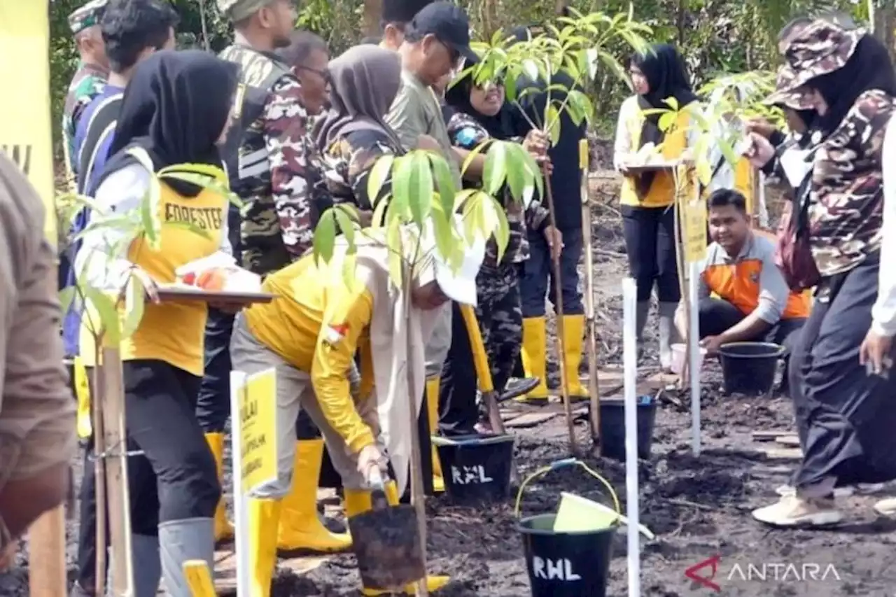 Sesuai Arahan Paman Birin, Dishut Kalsel Gelorakan Revolusi Hijau