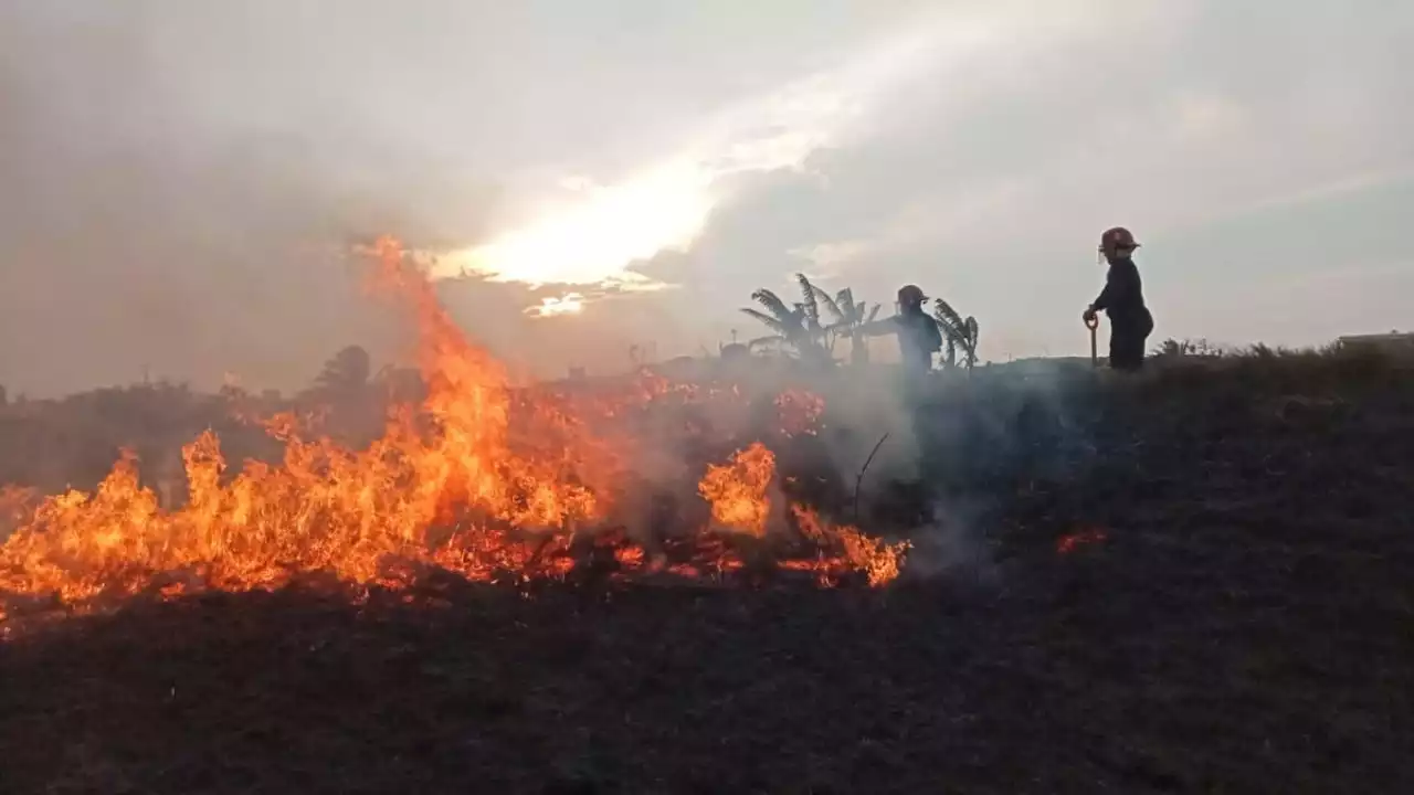 Hasta 10 incendios al día se registran en municipios del sur de Veracruz