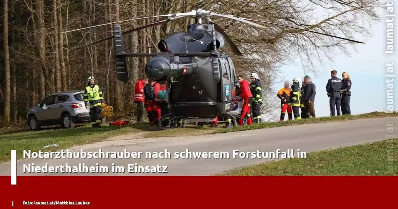 Notarzthubschrauber nach schwerem Forstunfall in Niederthalheim im Einsatz | laumat|at