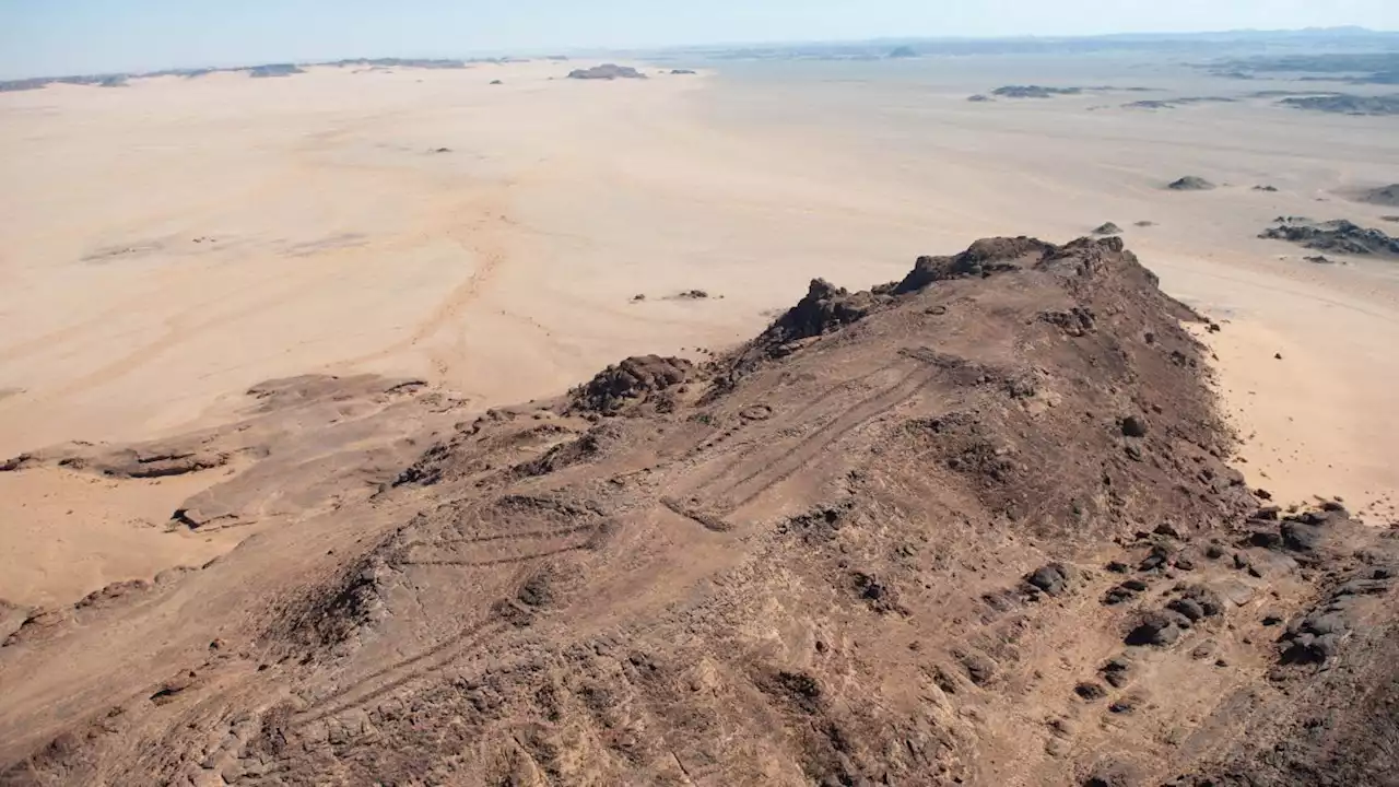 7,000-year-old cult site in Saudi Arabia was filled with human remains and animal bones