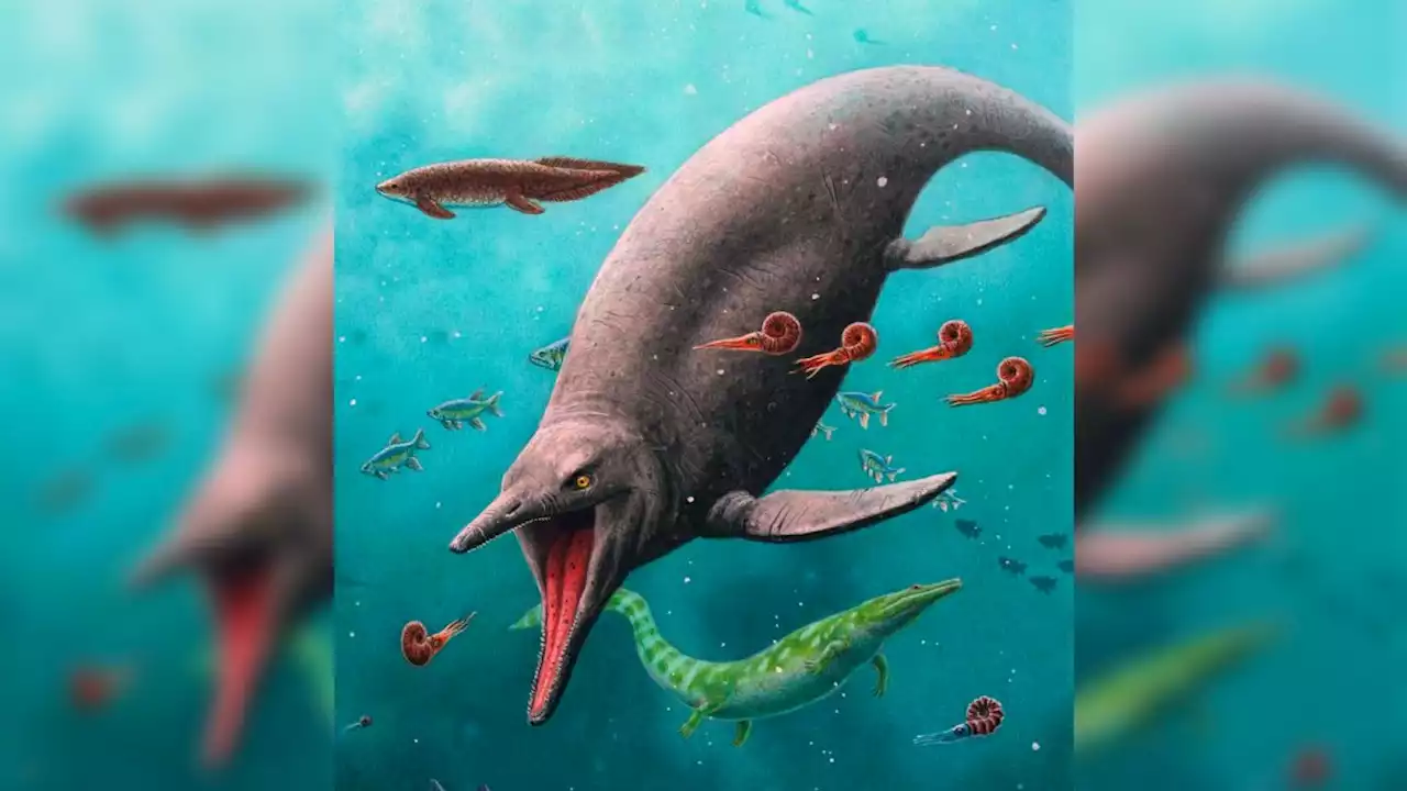 Oldest 'fish-lizard' fossils ever found suggests these sea monsters survived the 'Great Dying'