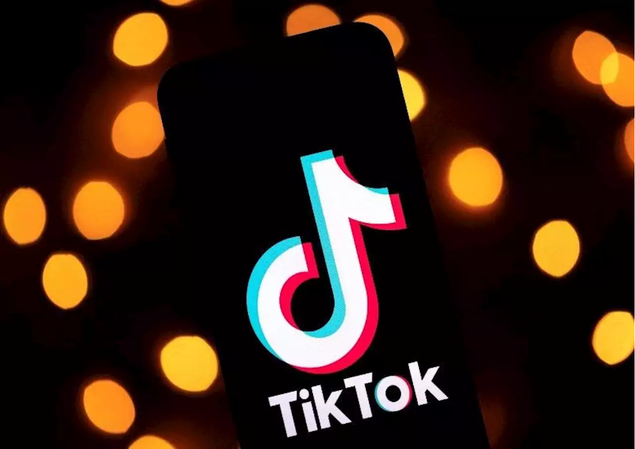 New Zealand to ban TikTok from MPs' devices: parliament