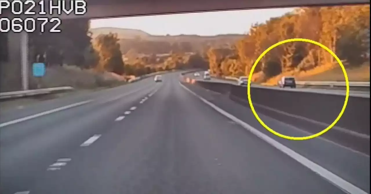 'Reckless and selfish' driver speeds wrong way along motorway in Ford Fiesta