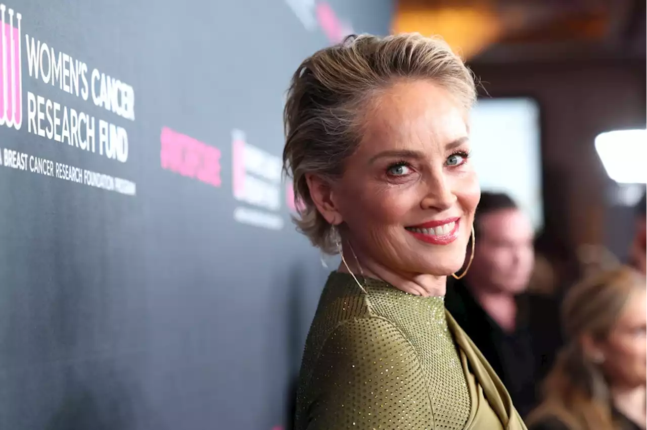 Sharon Stone: ‘I just lost half my money to this banking thing’