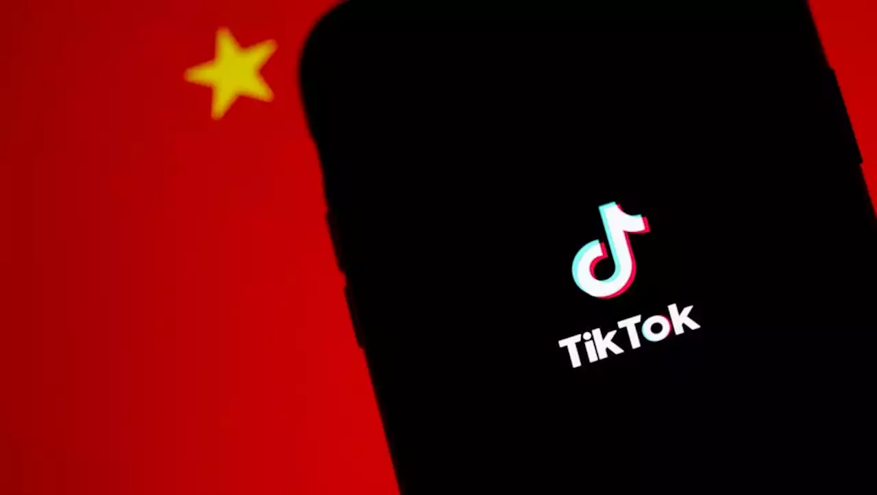 TikTok : au tour de la Nouvelle-Zélande d'interdire l'application chinoise sur les téléphones des parlementaires