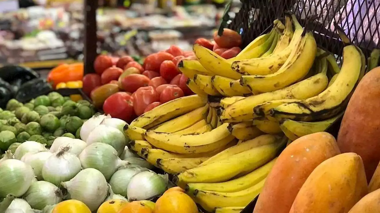 La canasta básica alimentaria subió 11,7% en febrero de 2023