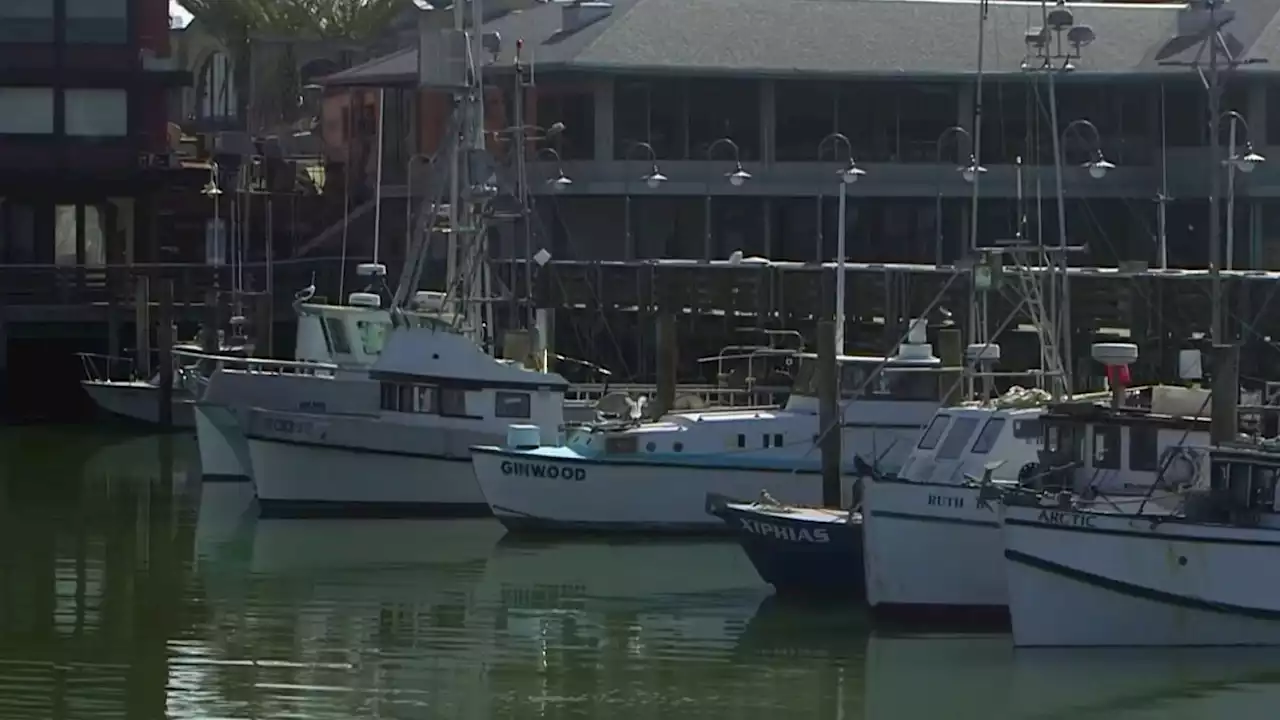 Bay Area Fishermen Share Impact of Pending Closure of Salmon Fishing Season