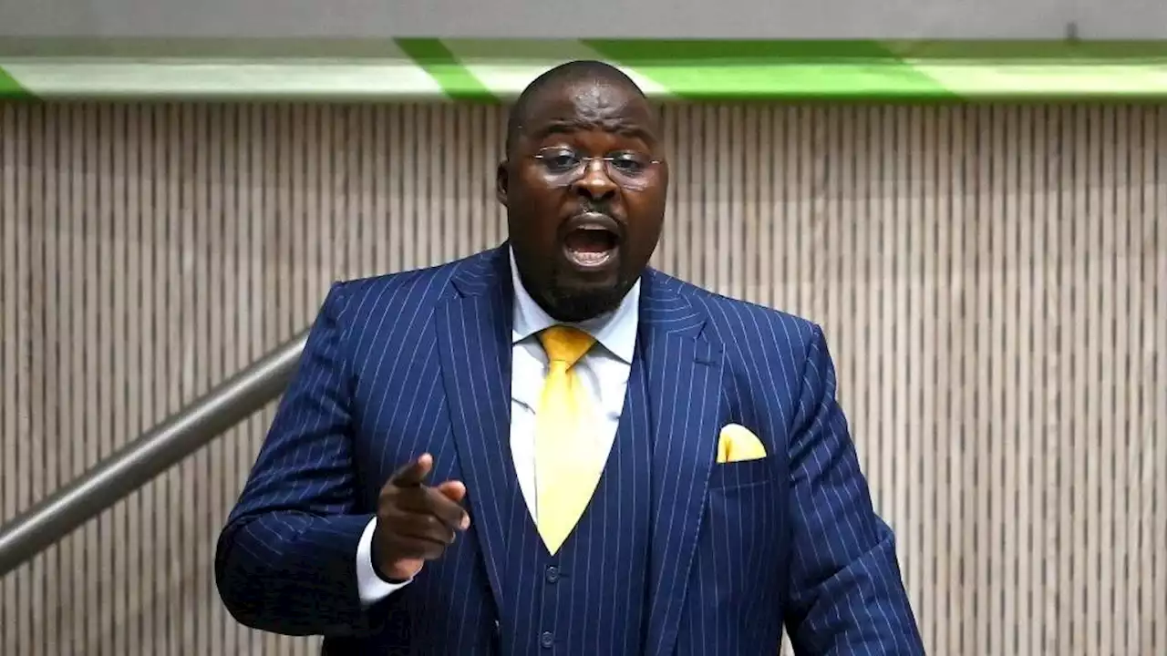 Overwhelming evidence: City of Tshwane wants Hawks to probe former mayor Murunwa Makwarela for fraud | News24