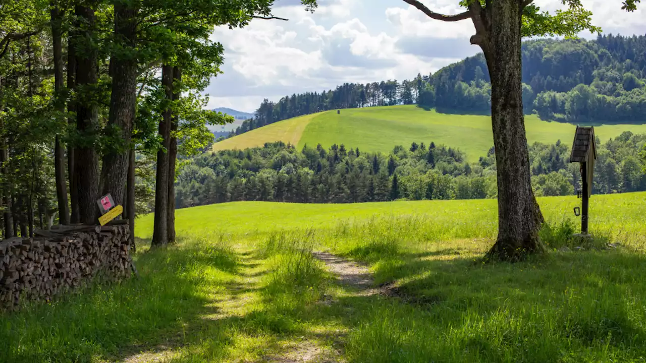 Biosphärenpark-Appell: Gut auf den Wienerwald achten