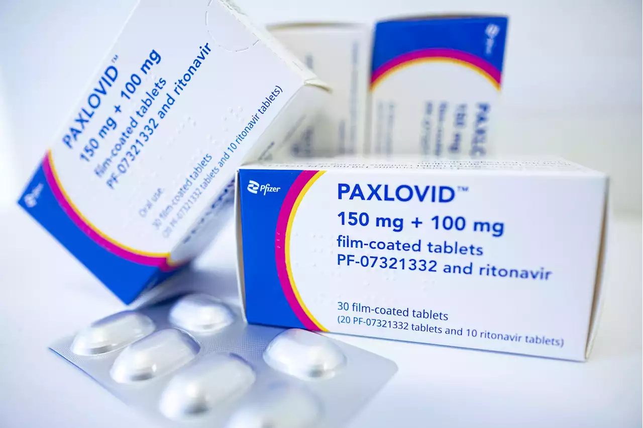 COVID-19 pill Paxlovid moves closer to full FDA approval - New York Amsterdam News