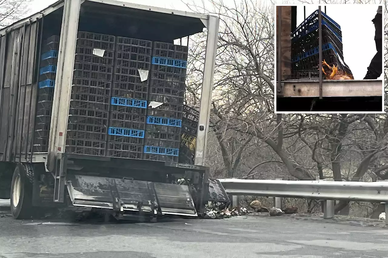 Truck carrying live chickens catches fire on Staten Island Expressway