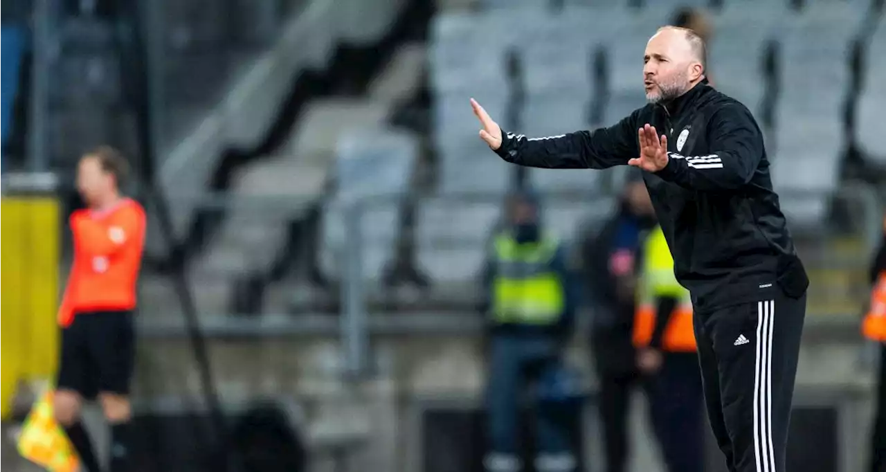 🚨 Algérie : la liste de Belmadi avec plusieurs nouveaux