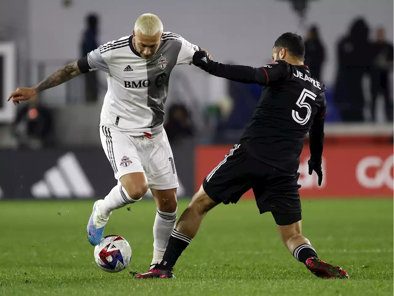 Toronto FC's season could go to birds if they don't shoot down the Herons on Saturday