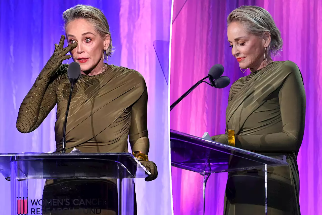 Sharon Stone: I ‘lost half my money’ in Silicon Valley Bank collapse