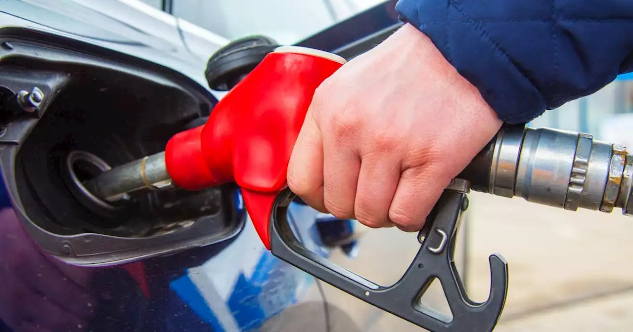 Gas, diesel, furnace oil prices all drop in P.E.I. on March 17, 2023 | SaltWire