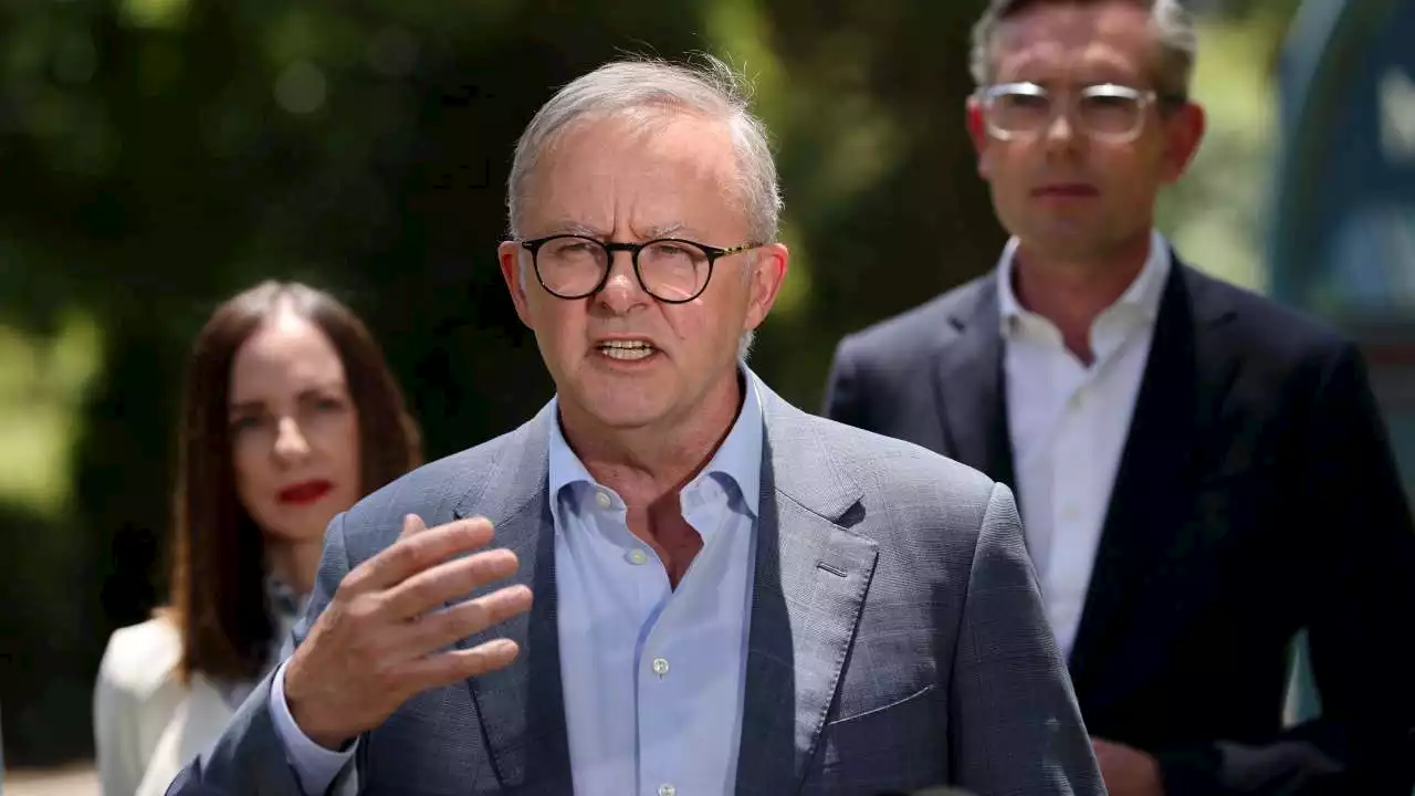 Albanese rubbishes Perrottet's key policy initiative, says it 'reinforces inequality'