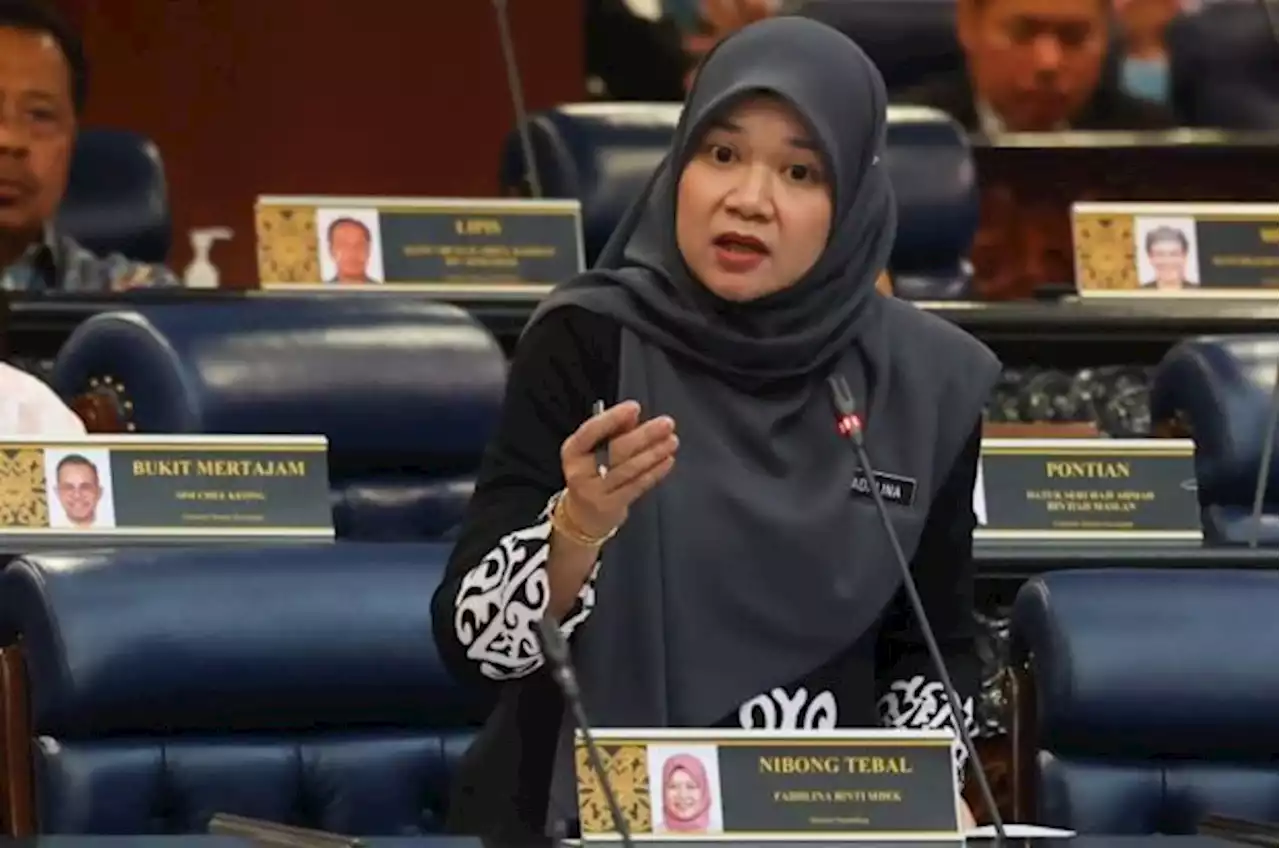 Fadhlina: UEC Policy Task Force failed to submit report to ministry