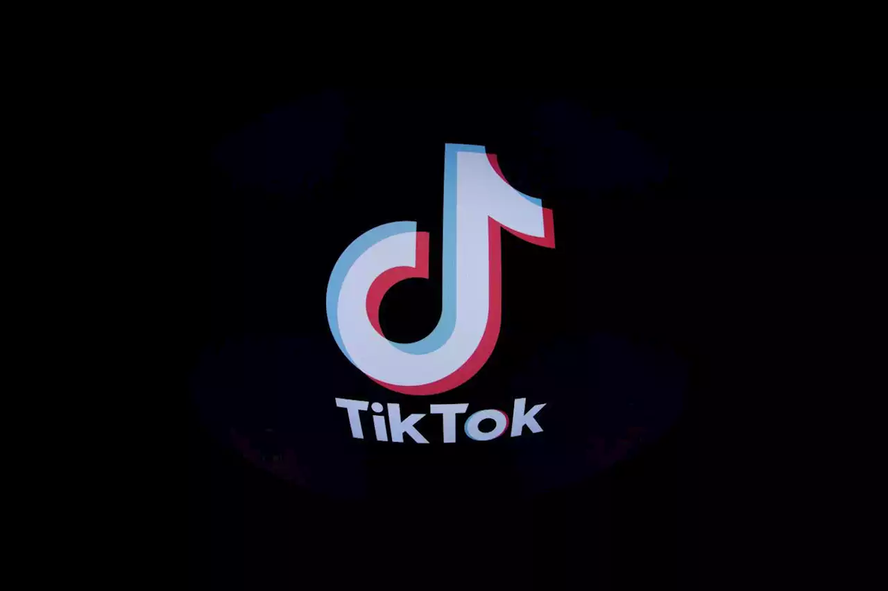 TikTok : la Nouvelle-Zélande interdit l’application sur les appareils des députés