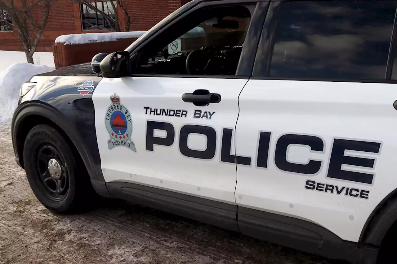 Impaired driver in stolen vehicle collides with marked police cruiser