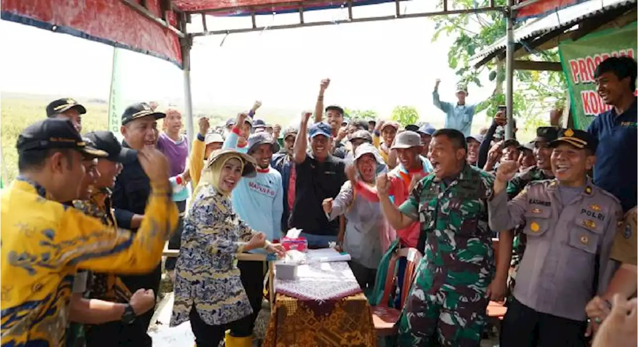 Sukses Panen Raya, Bupati Serang Dorong Petani Millenial Bertani