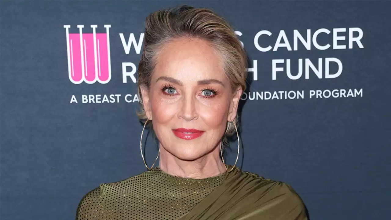 Sharon Stone Says She Lost “Half My Money to This Banking Thing,” Breaks Down in Tears During Speech