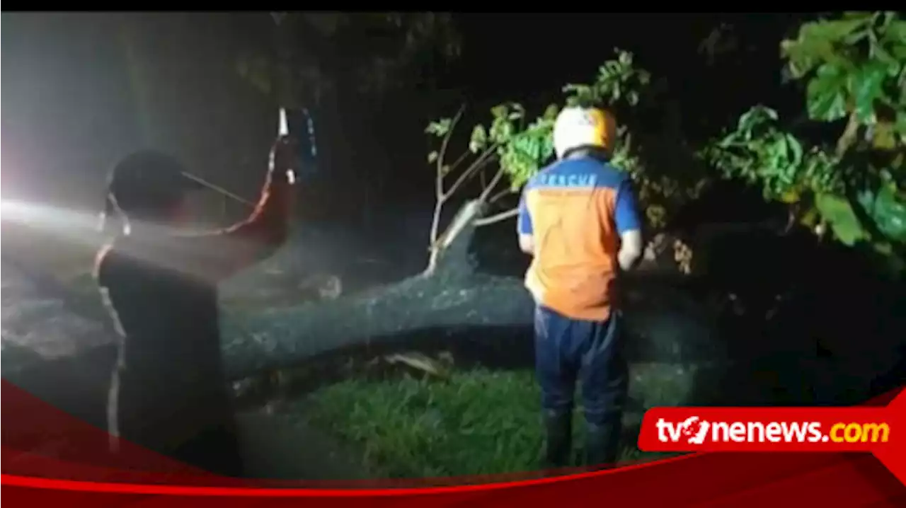 Diterjang Hujan Lebat Disertai Angin Kencang, Puluhan Pohon Tumbang dan Rusak Atap Stasiun Caruban