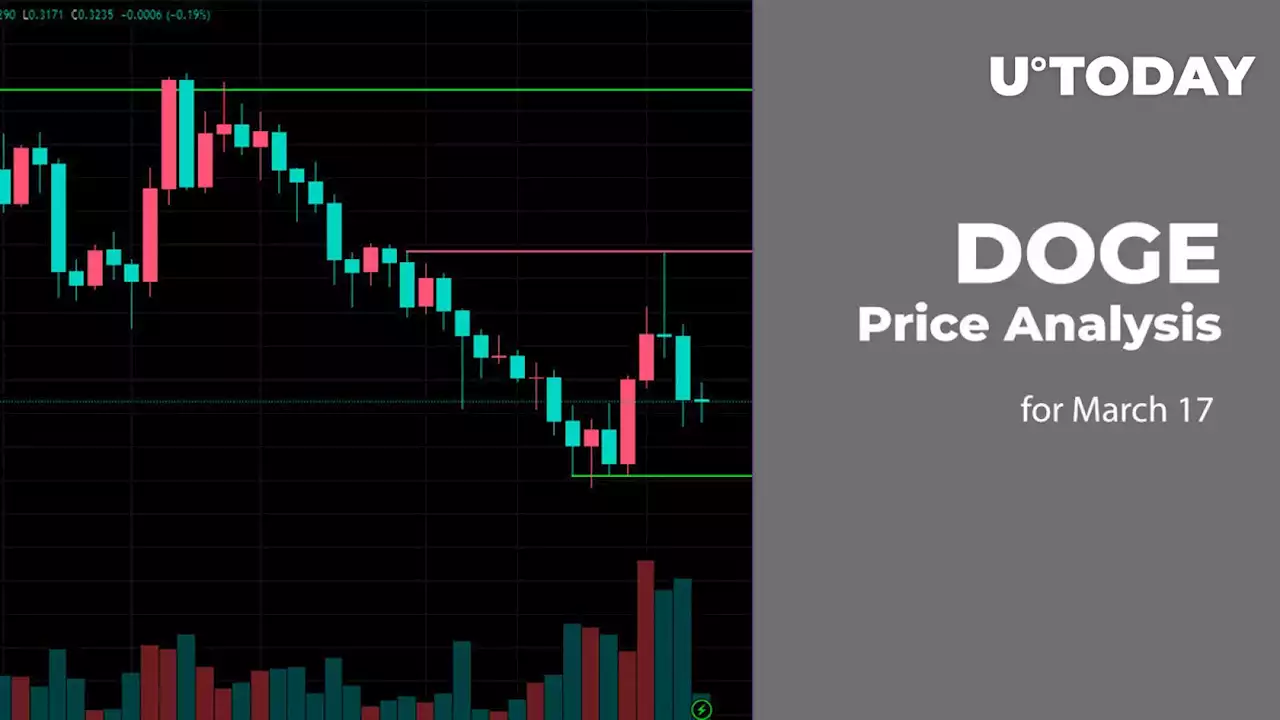 DOGE Price Analysis for March 17