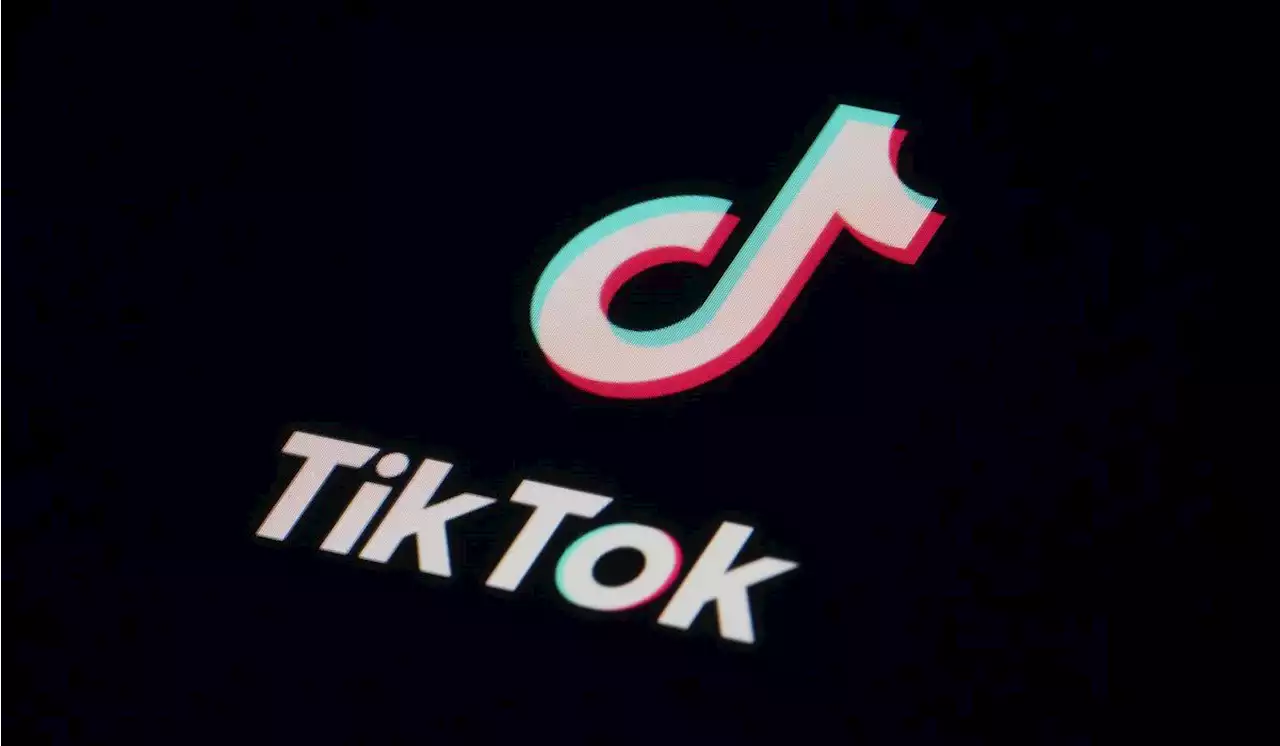 New Zealand lawmakers banned from TikTok amid data use fears