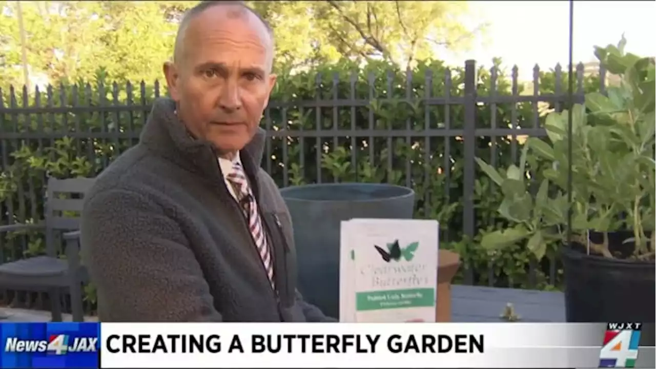 Butterflies 🦋 & Brews 🍺: Building a friendly place for pollinators, Richard Nunn style