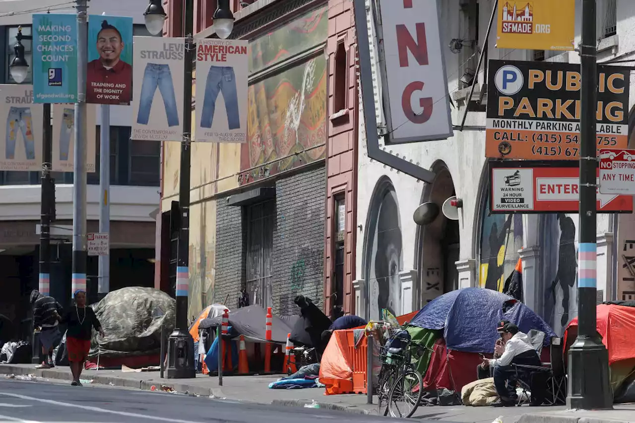 Newsom pledges 1,200 tiny homes for California's homeless