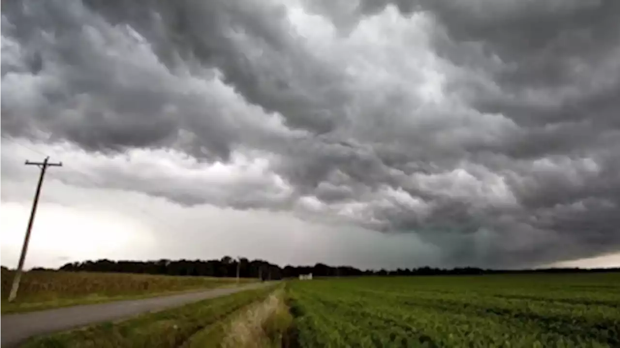 Alerta naranja por tormentas para Buenos Aires y La Pampa