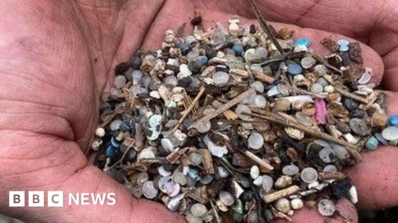 Clean up of nurdle-polluted Southampton Chessel Bay nature reserve