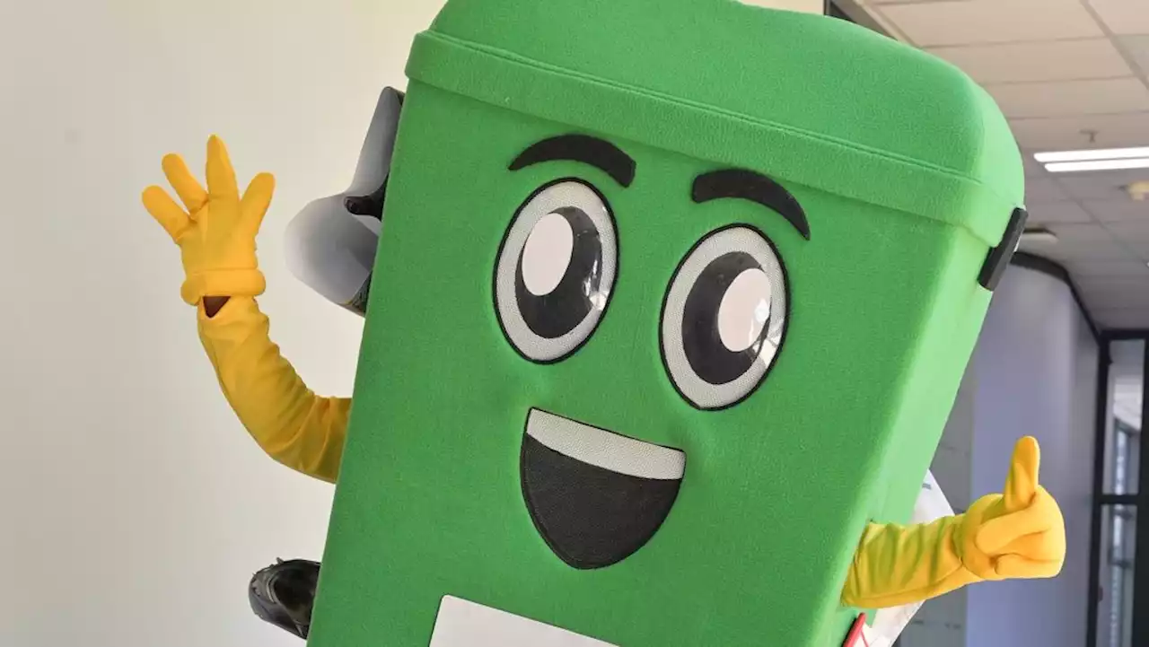 CoCT needs suggestions to help name Cape Town’s new anti-litter mascot