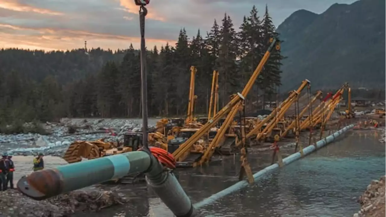 Indigenous-led prospective buyer 'not going away' even as Trans Mountain costs spiral | CBC News