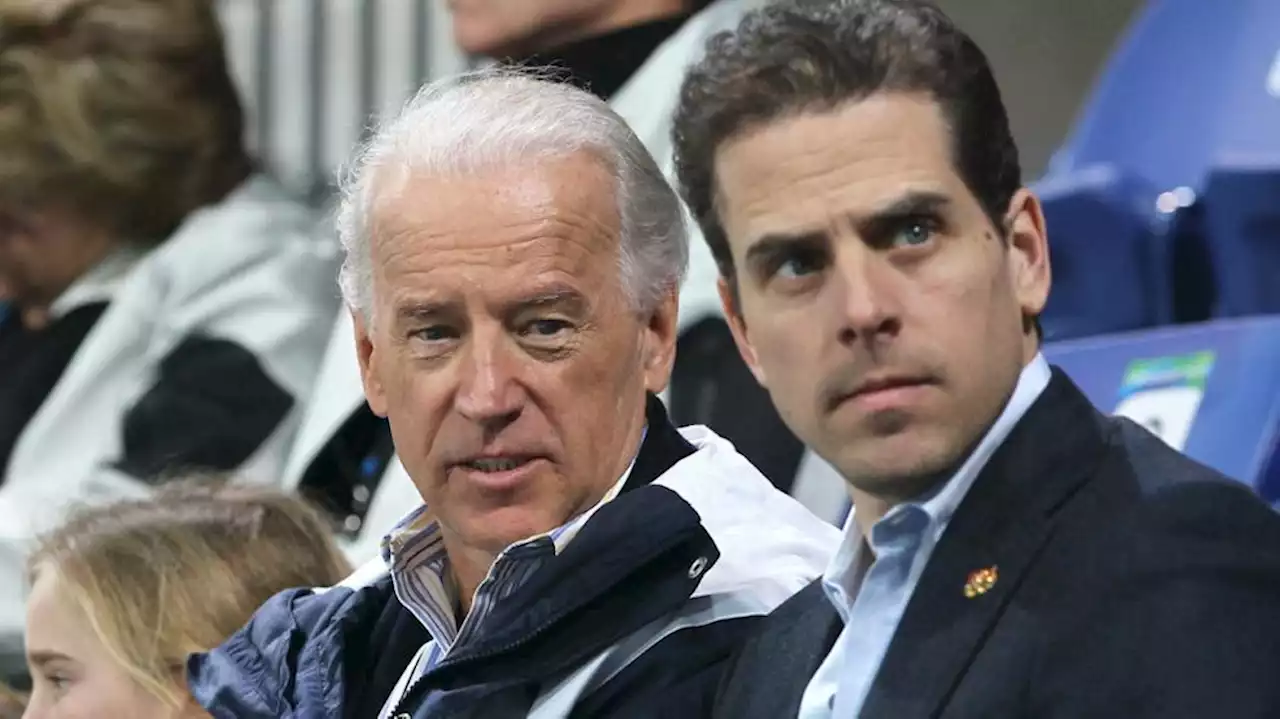 President's daughter-in-law Hallie becomes latest Biden linked to Chinese money