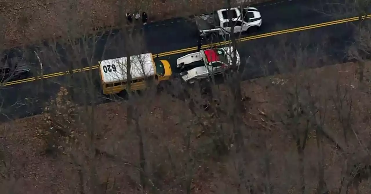 School bus driver hurt after striking low-hanging branch on Staten Island