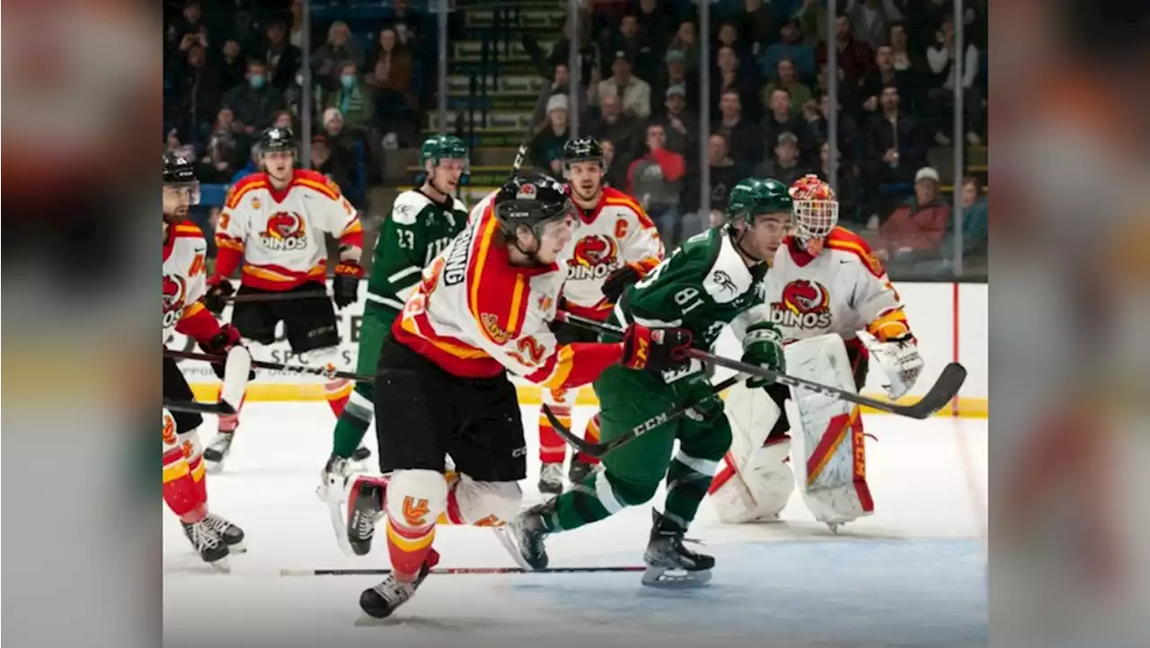 Dinos men's hockey team denied bid to play for national title in defeat to P.E.I.