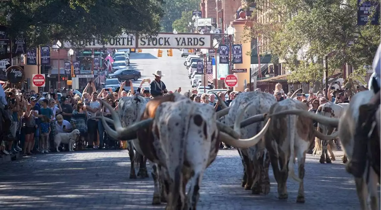 Ever dreamed of driving longhorns through the Fort Worth Stockyards? This job is for you