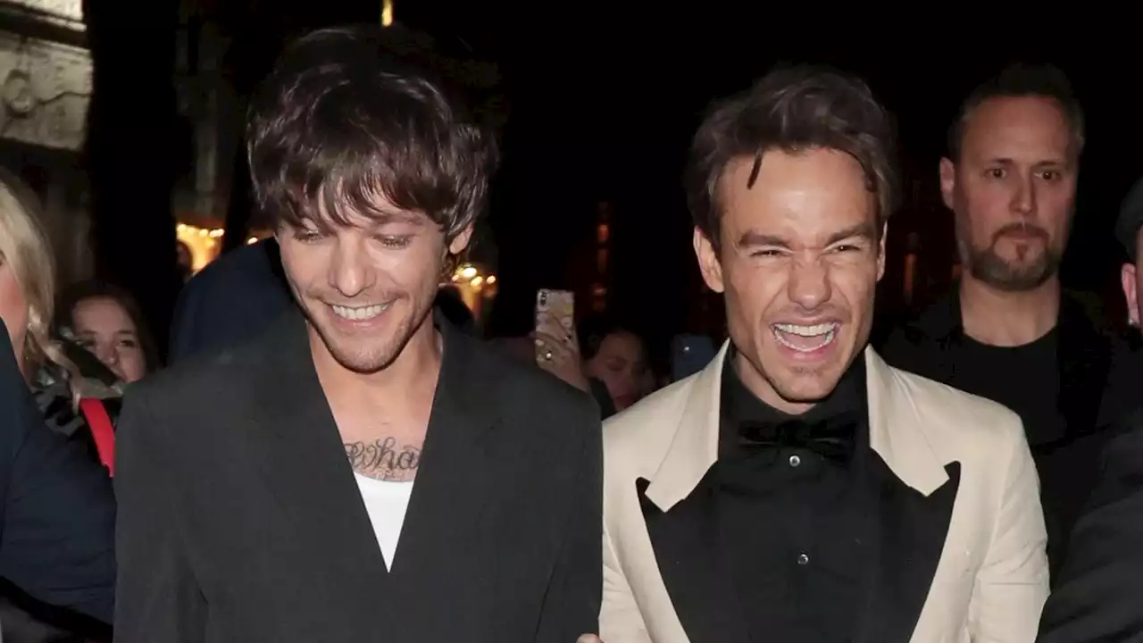 Louis Tomlinson and Liam Payne Reunite at Movie Premiere