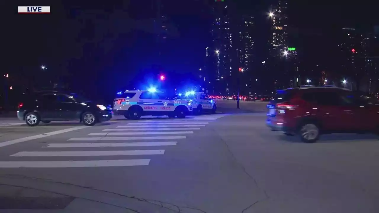 Chicago police fire shots after officer is struck by fleeing car in Grant Park