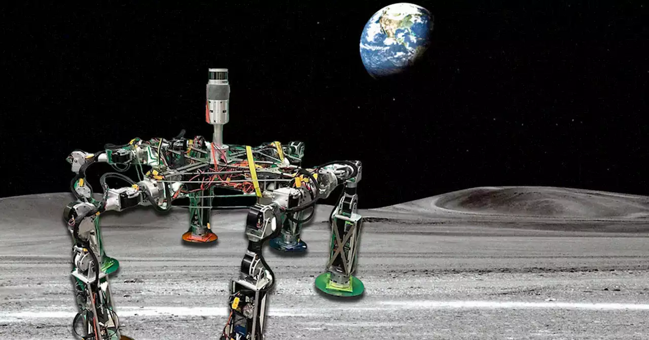 MIT Students Built a Terrifying Mix-and-Match Spider Robot to Build Lunar Colonies