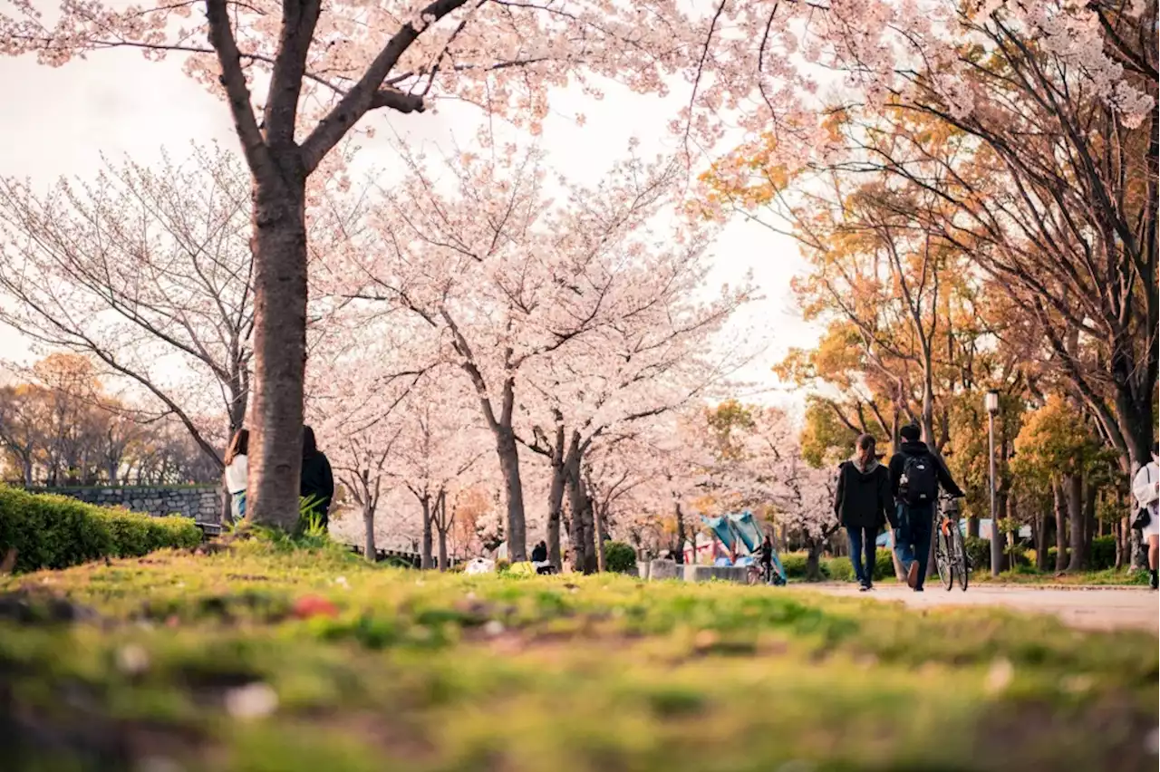 Taking workouts outside this spring can refresh your exercise routine