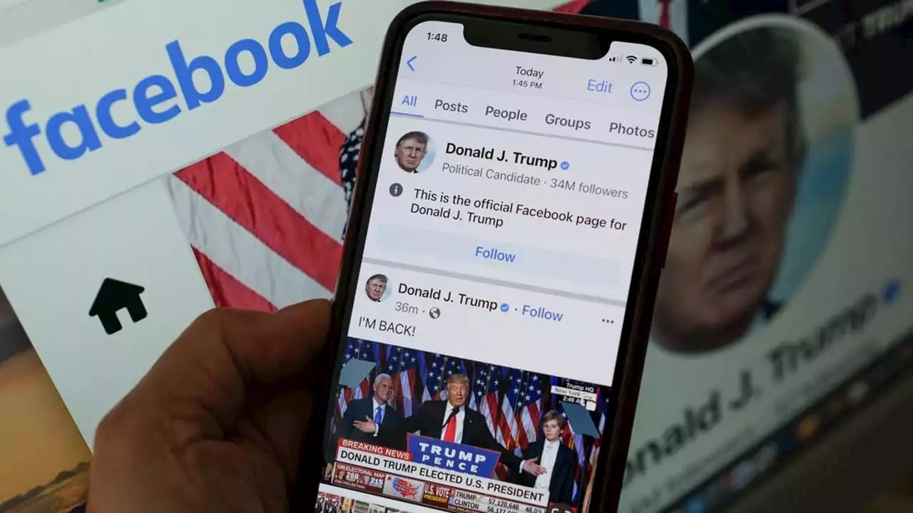 Etats-Unis : Donald Trump de retour sur Facebook et YouTube