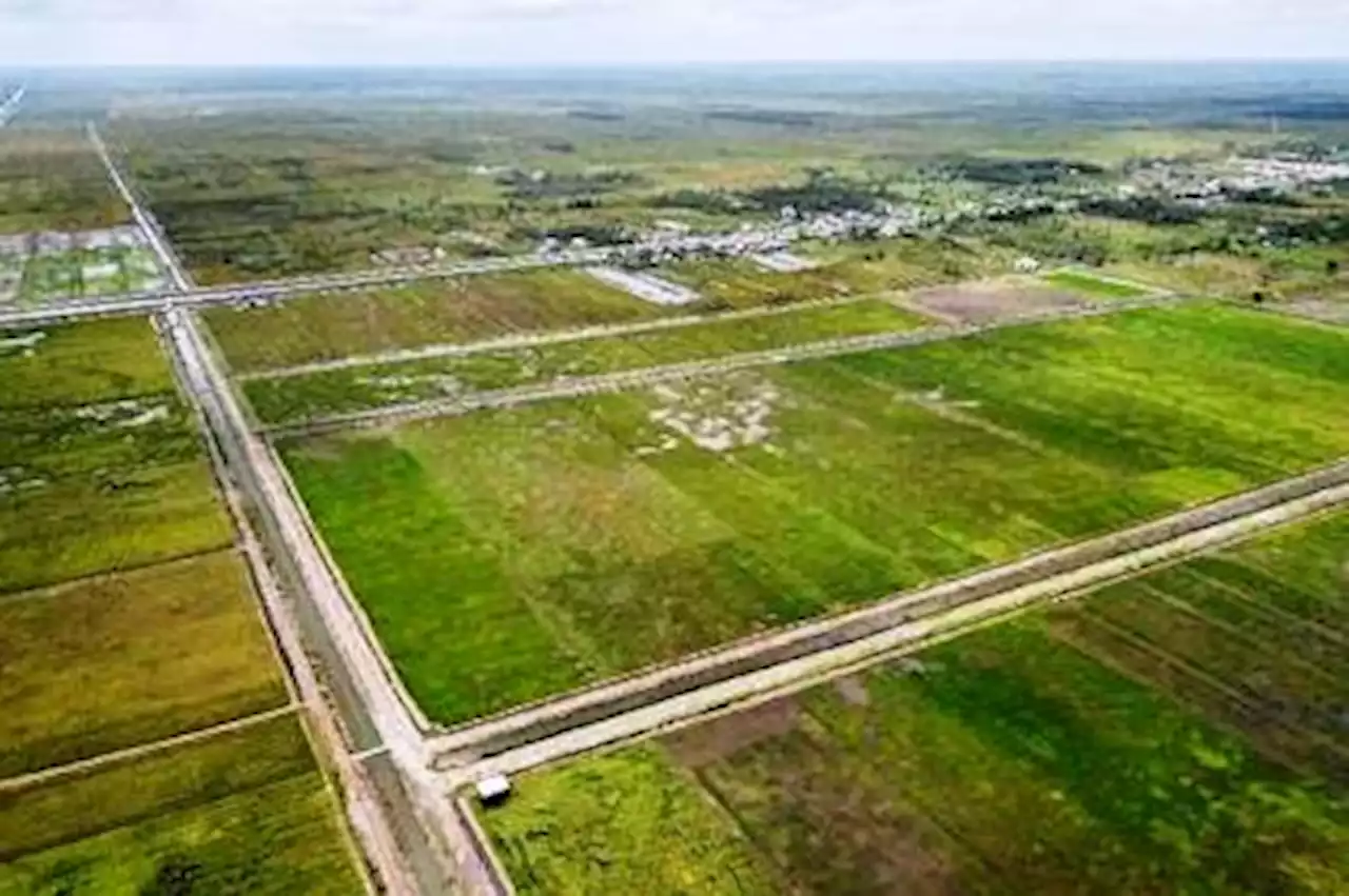 Food Estate Kapuas dan Pulang Pisau Berproses dengan Baik